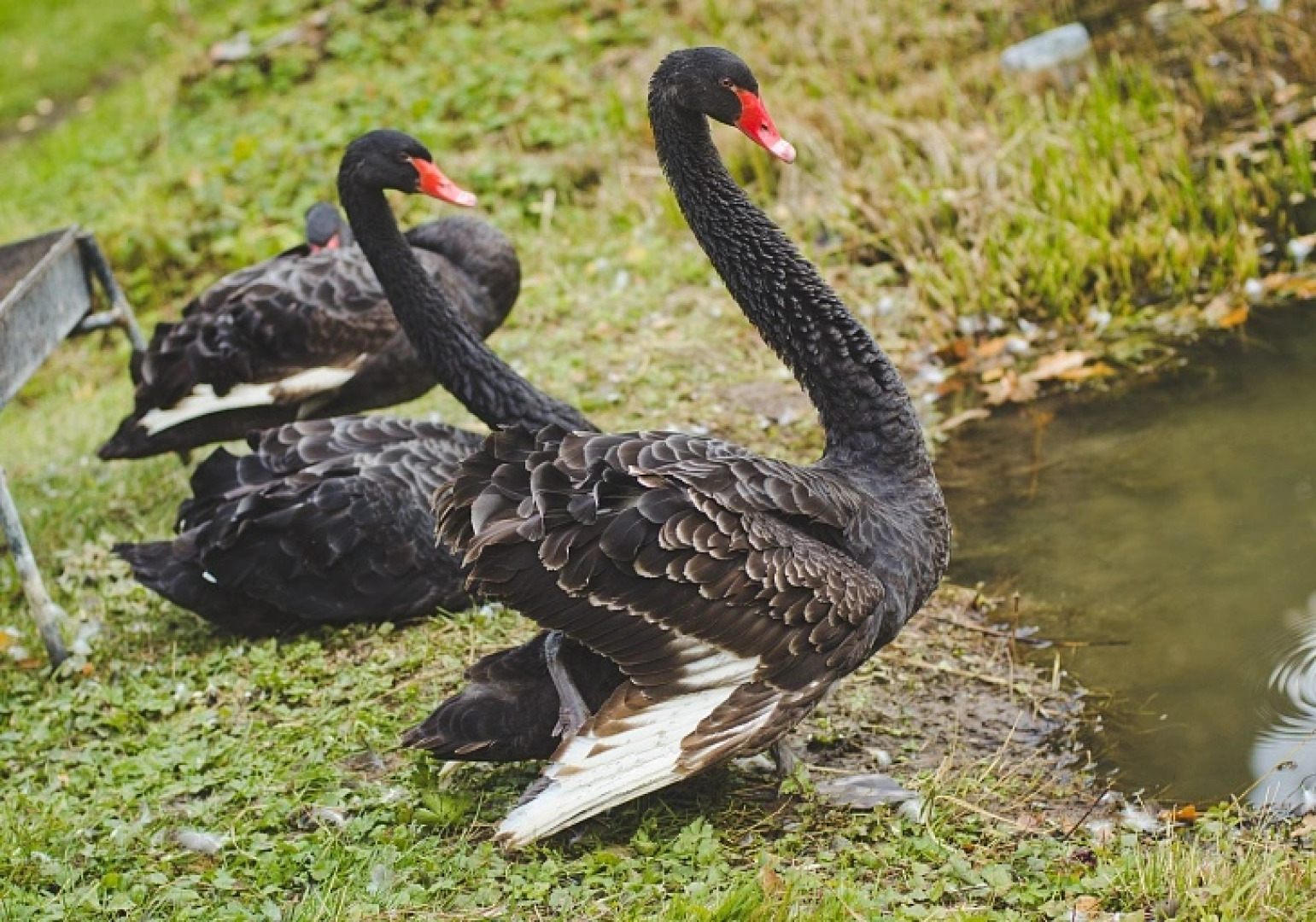 База отдыха Кипячий Ключ