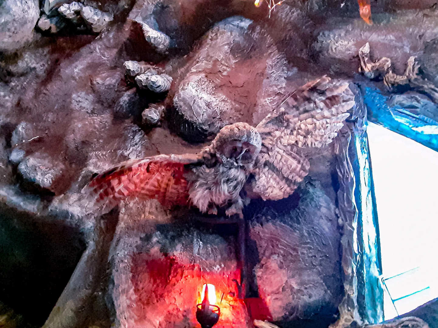 Гостевой Дом Пещера Гингемы