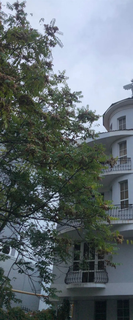 Отель Мистер Х