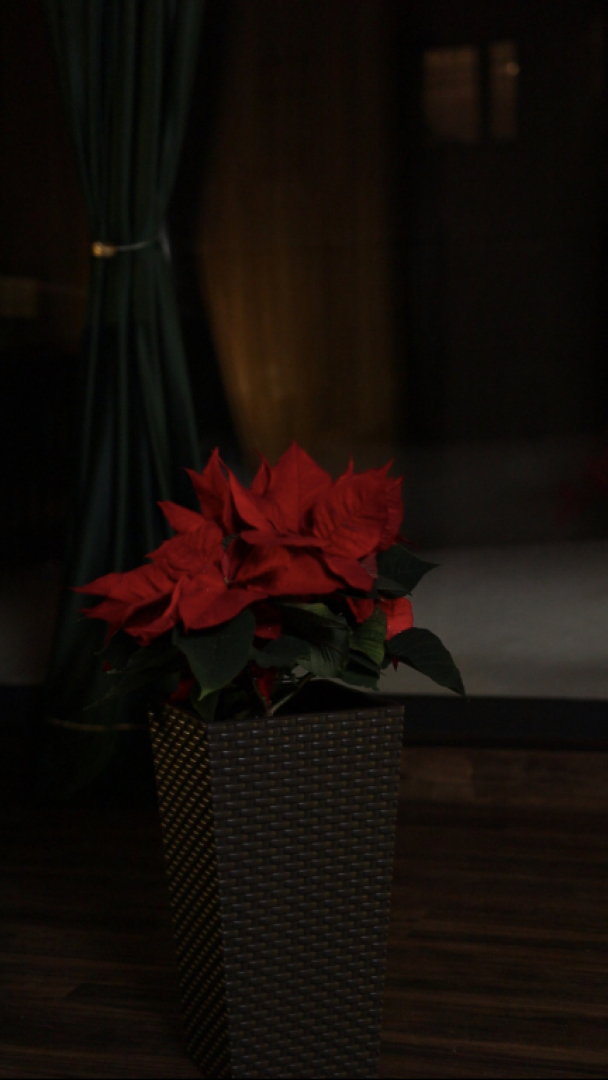 Апартаменты Lux апартаменты в премиальном ЖК в 2-х км от Кремля