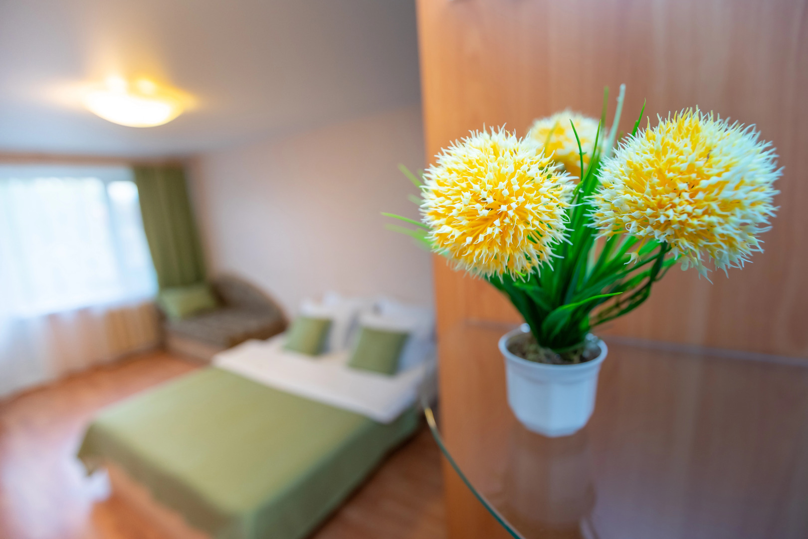 Апартаменты Баринн на Ломоносова 177