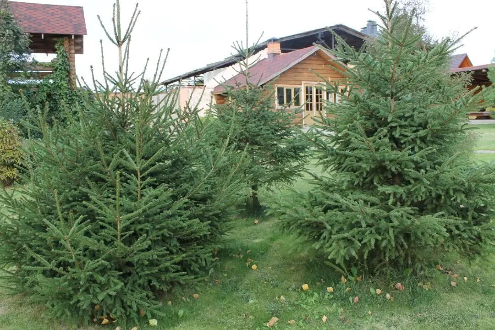 Отель Георгиевский