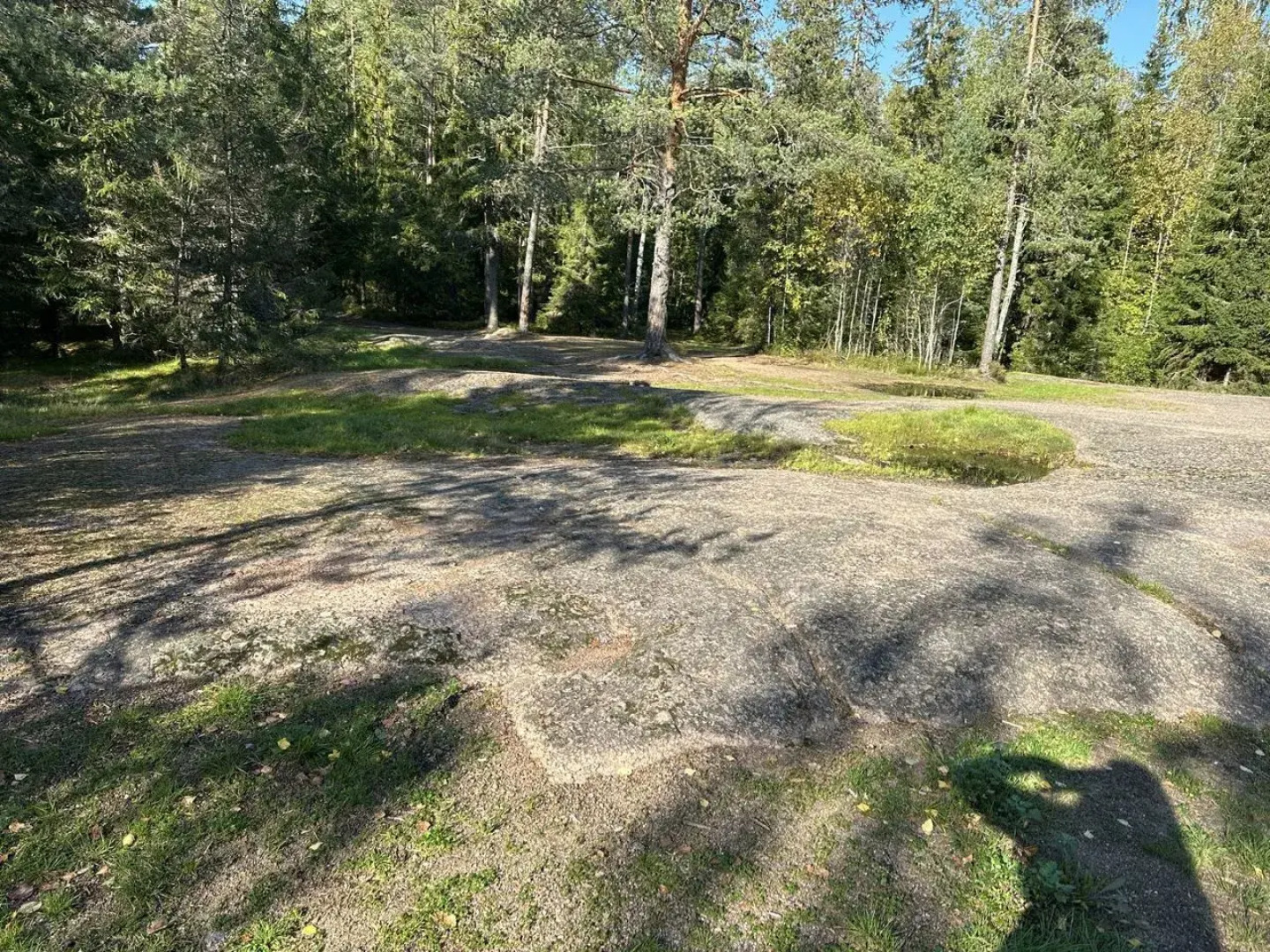 Частный дом Шепот леса