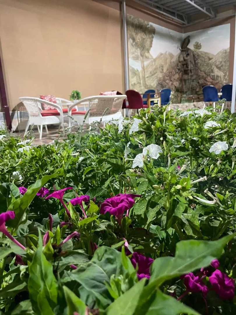 Отель Jumadaler Дворец Эмира в старом городе 300 м. до достопримечательностей