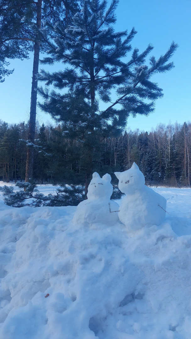 Частный дом в Заветах Ильича с розовой гостиной
