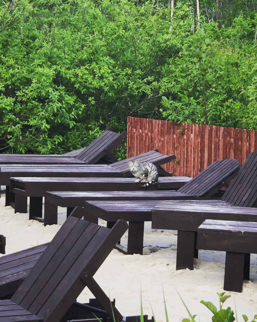 База отдыха Аврора