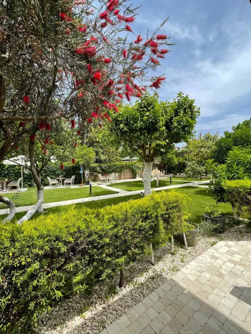 Мини-отель Alican Pension