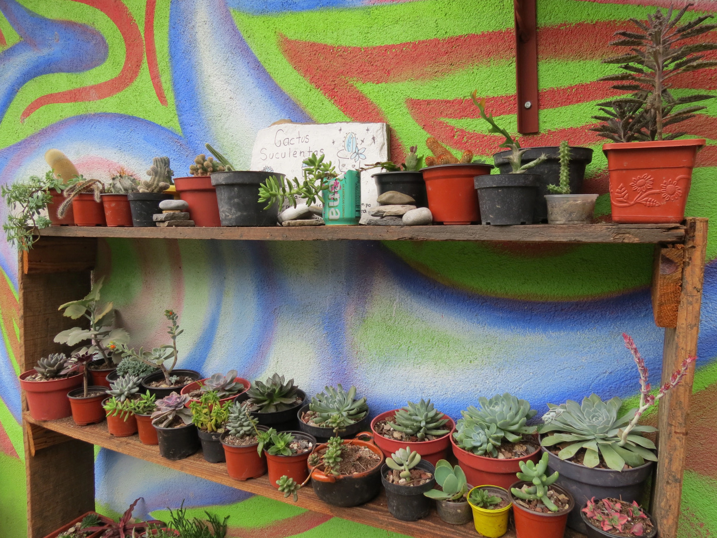 Отель Casa Verde Xilitla by Rotamundos