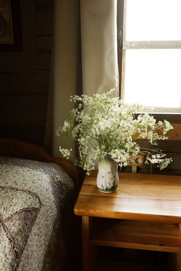 Частный дом Гостевой Дом с единорогом в Ферапонтово