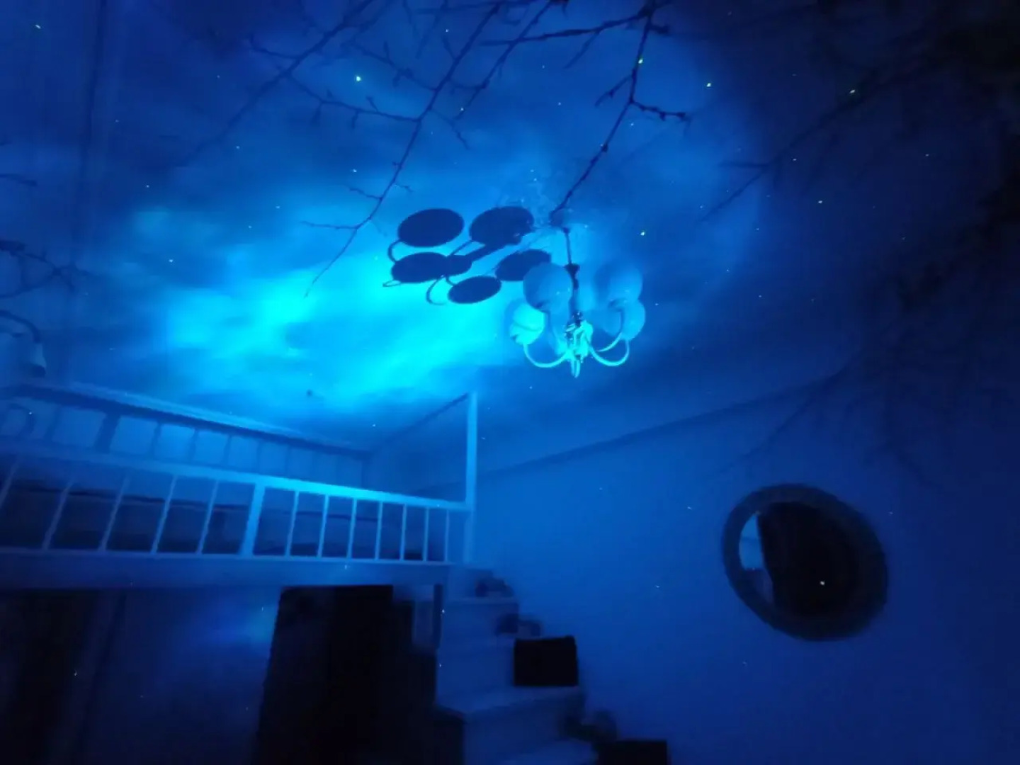 Квартира Студия с авторским декором Сказочный лес в красивом доме