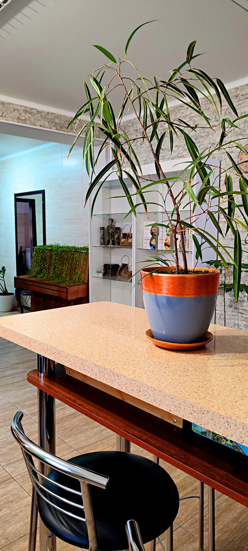 Гостевой дом Эко Хаус