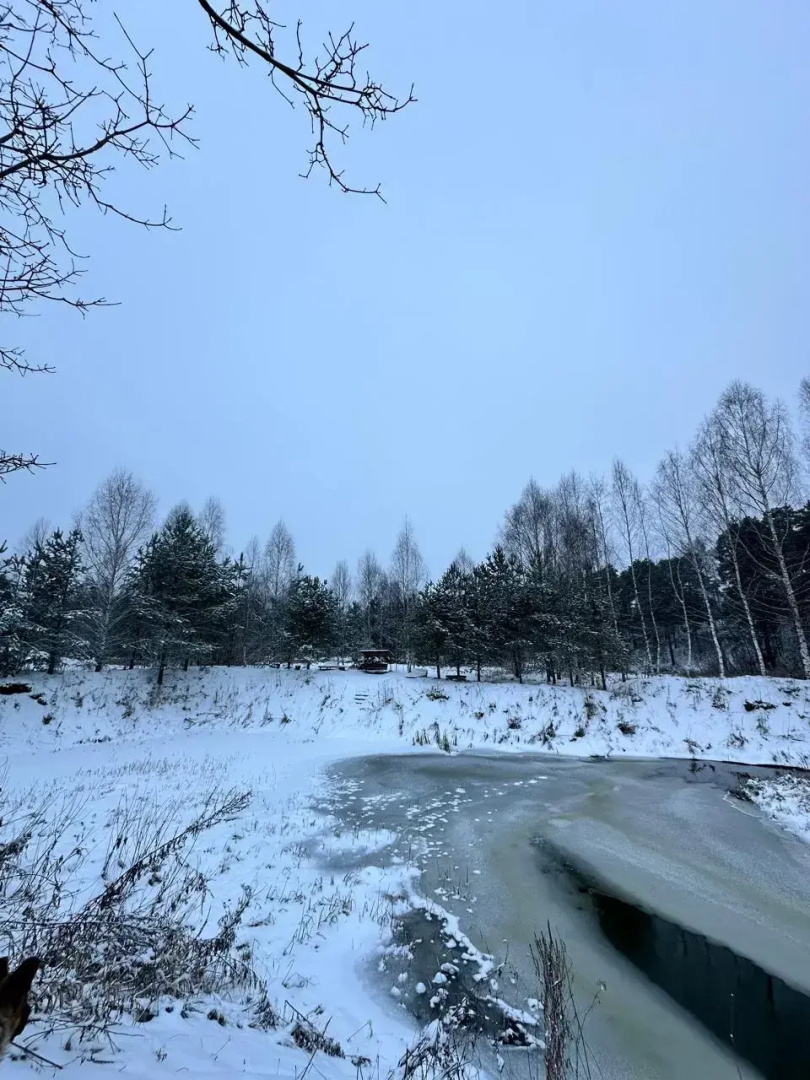 Гостевой дом Чудиново 33
