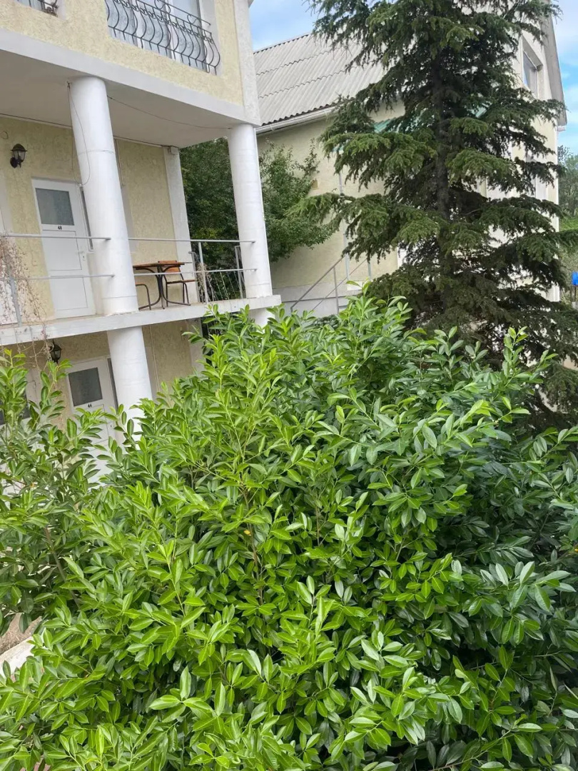 Гостевой дом 1000 Звёзд #2