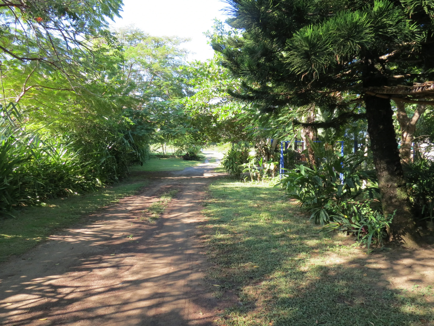 Отель Eco Coco Loco by Rotamundos