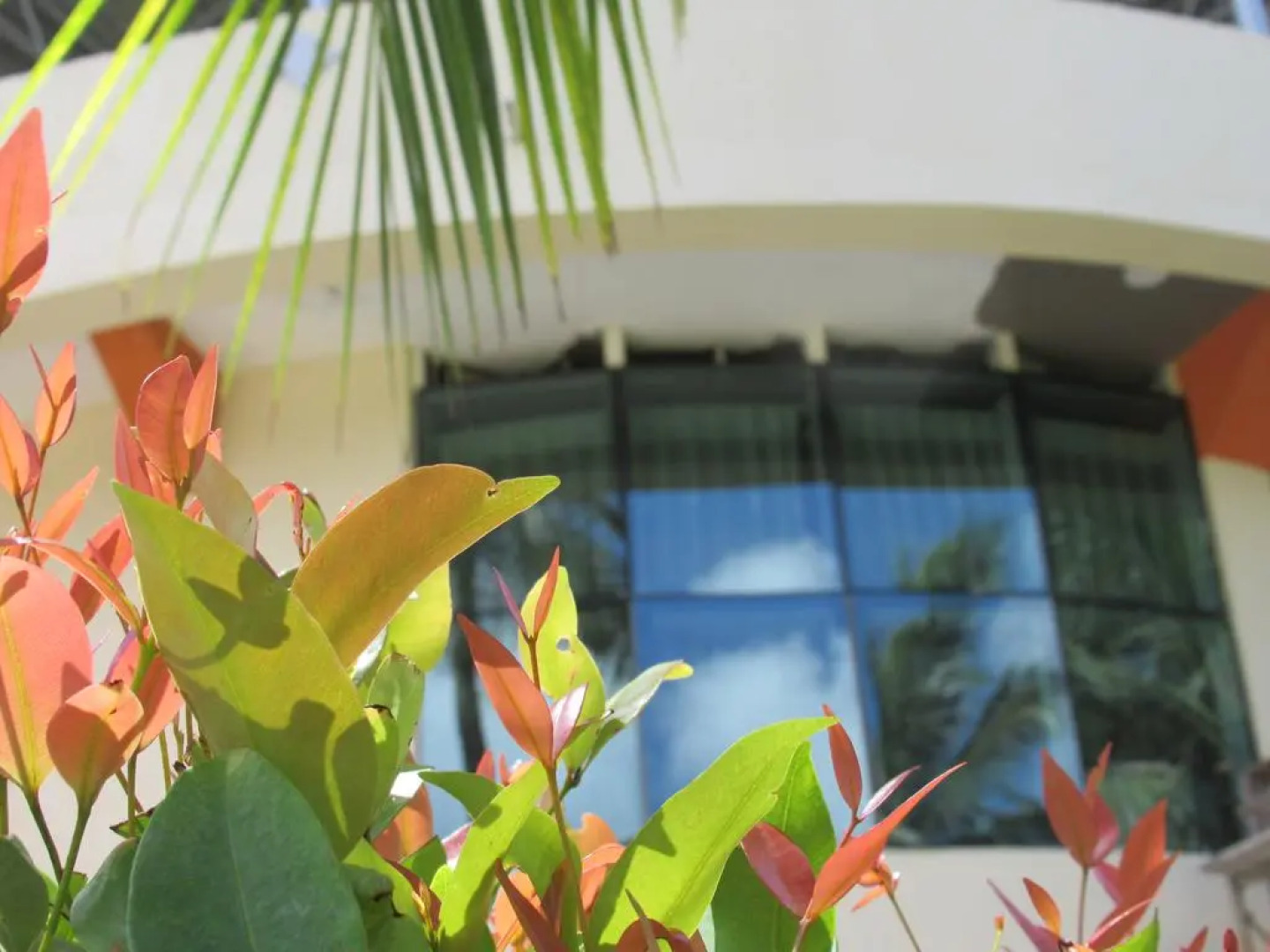 Отель Ceylon Sea