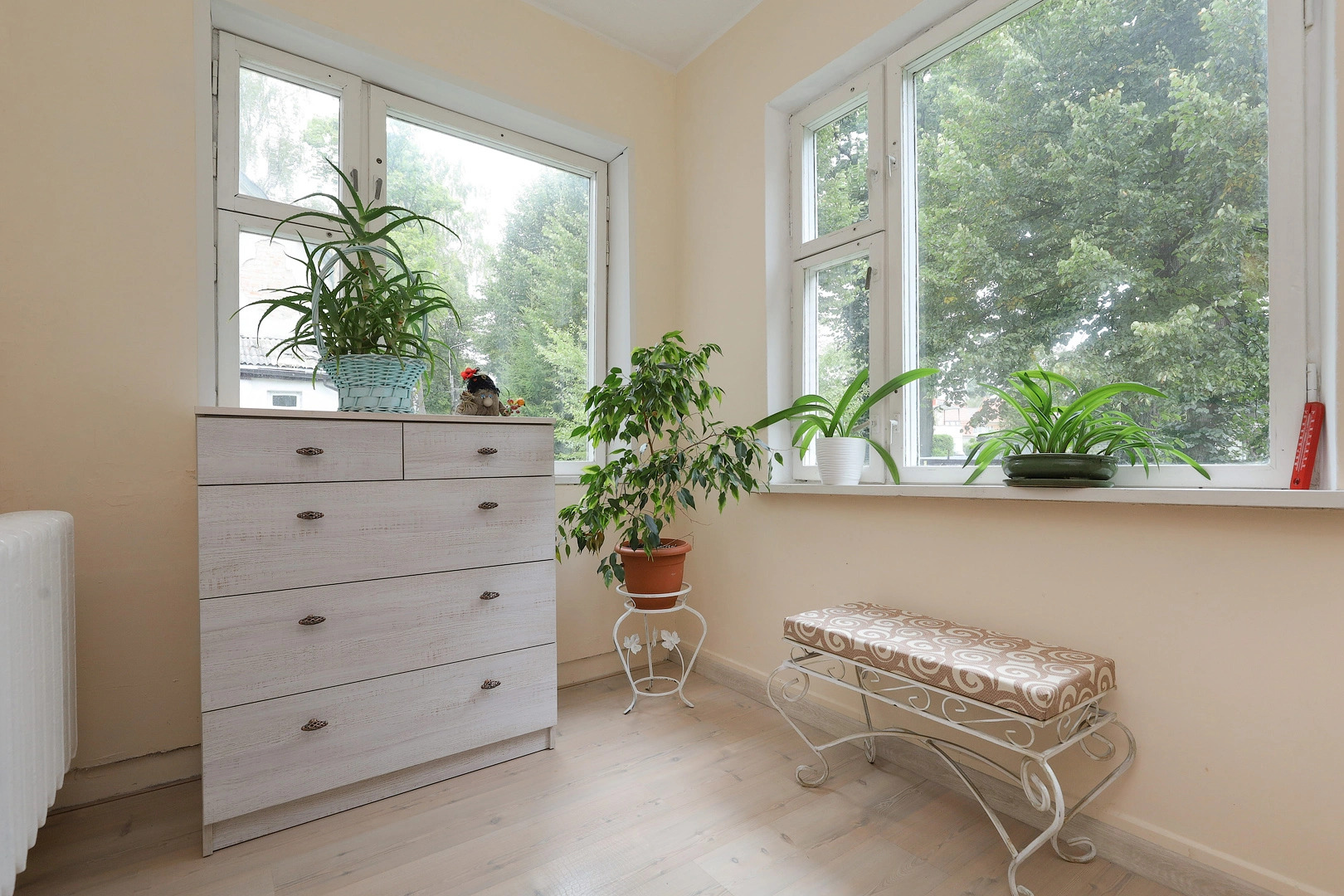 Апартаменты ВЕРОНИКА