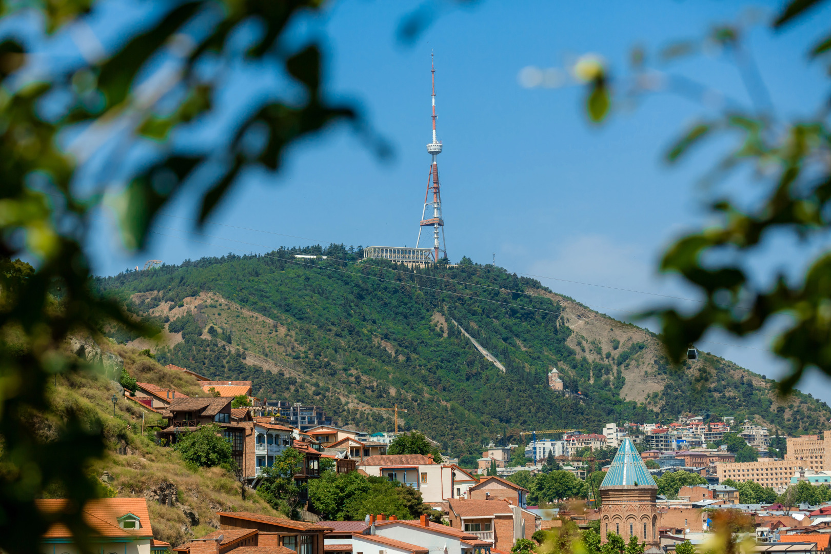 Отель Gvino Minda