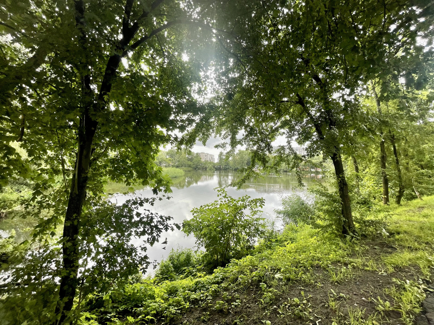 Квартира на Толстикова