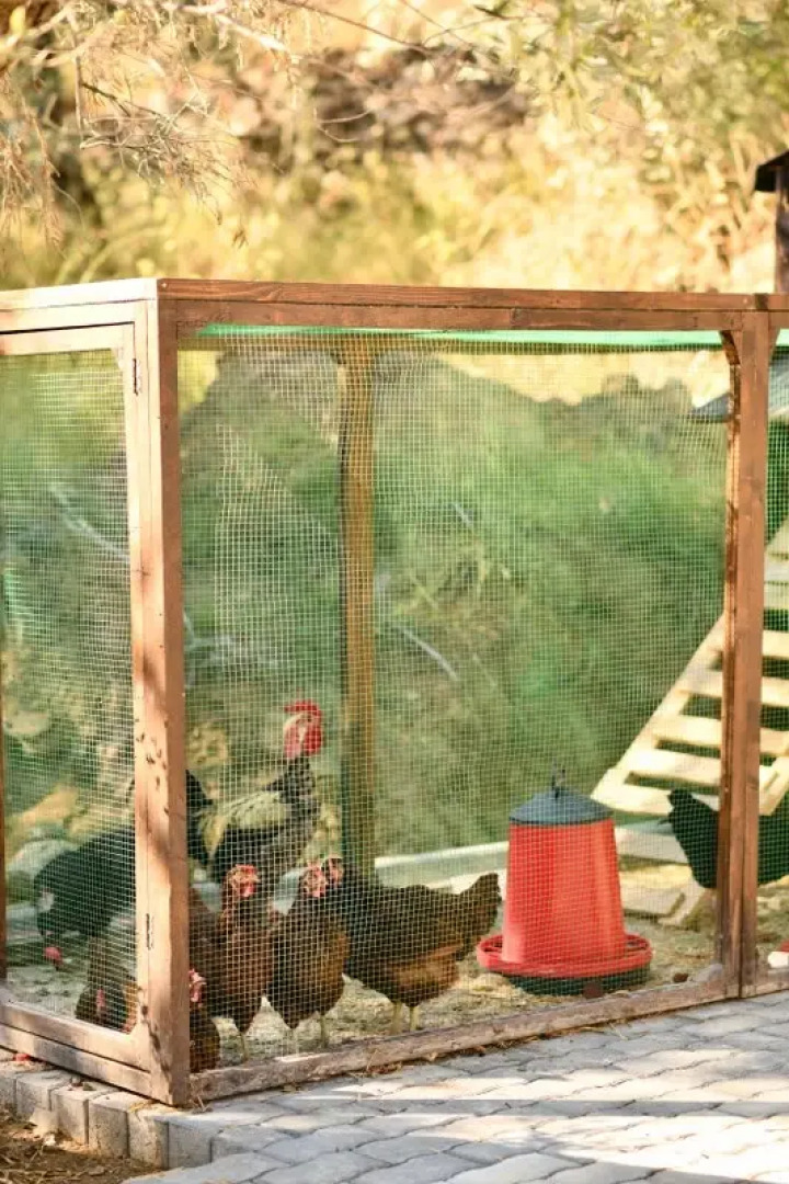 Отель 1774 Kazdagi Termal Butik Otel