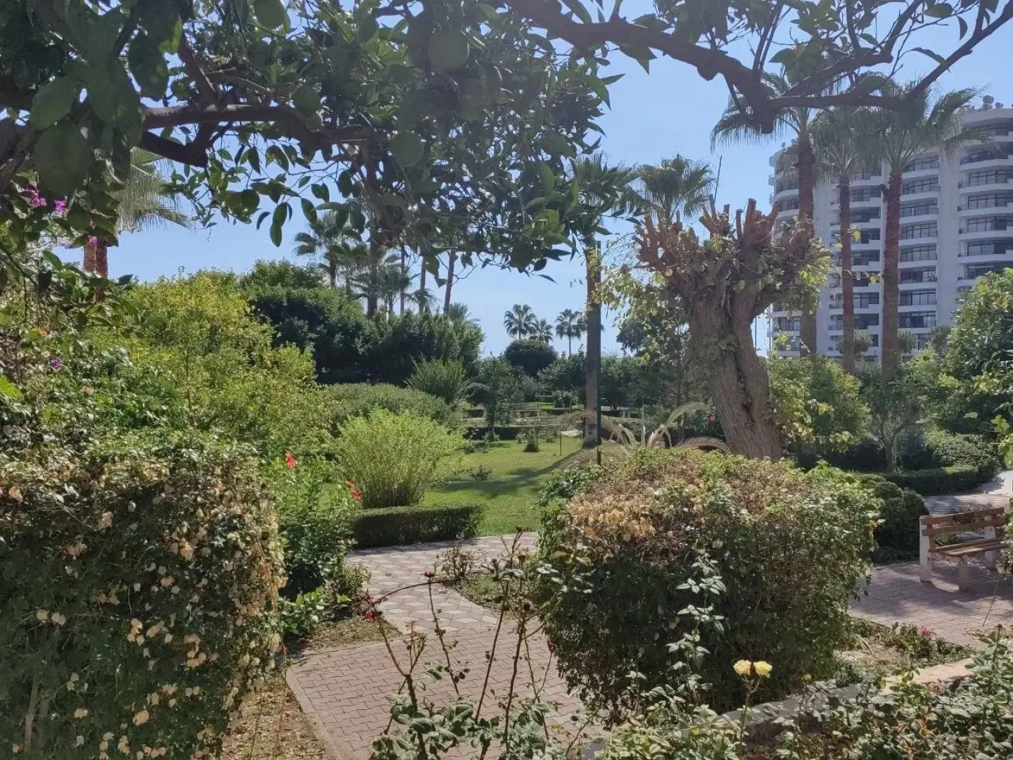 Апартаменты Односпальные апартаменты