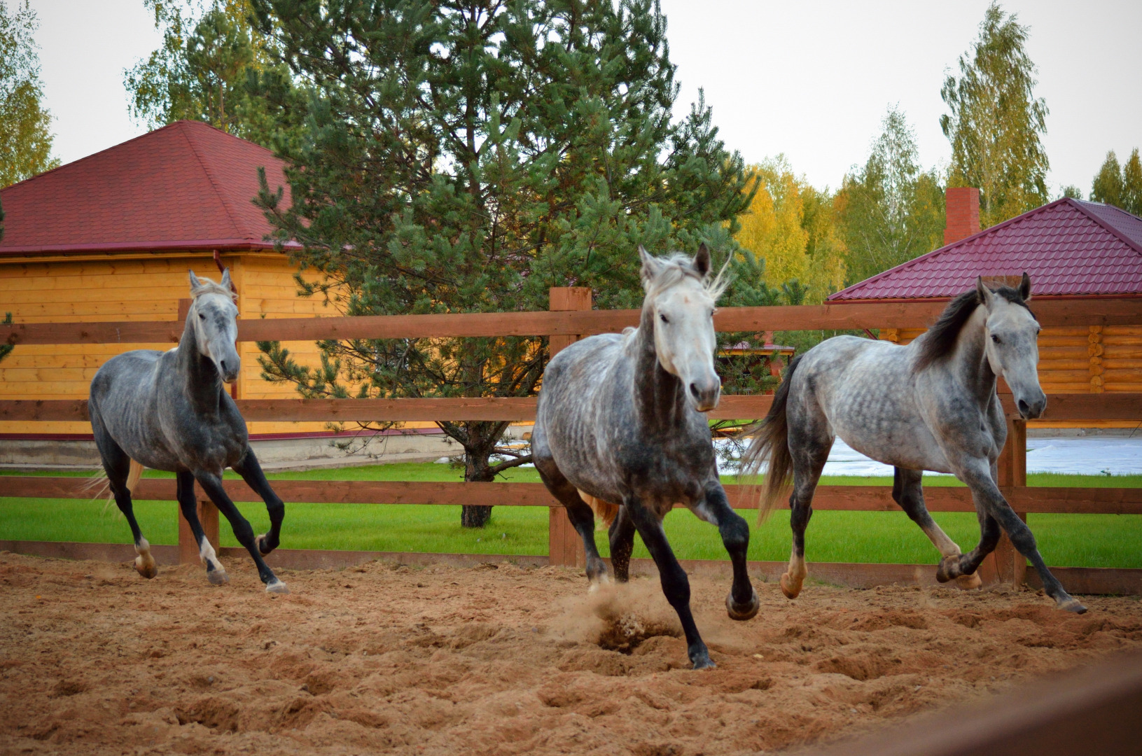 База Отдыха Лесное Озеро