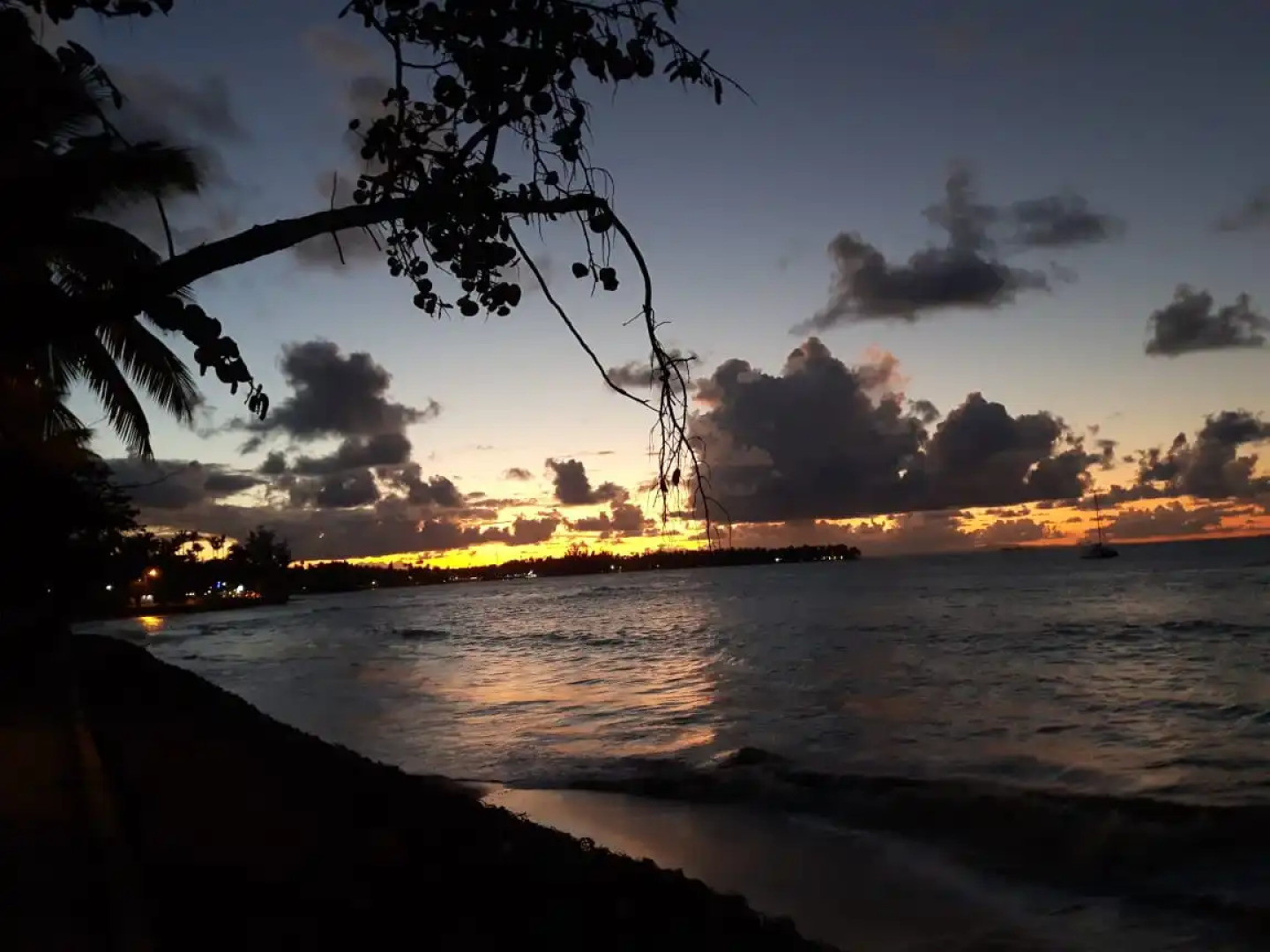 Residencial Don Cesar