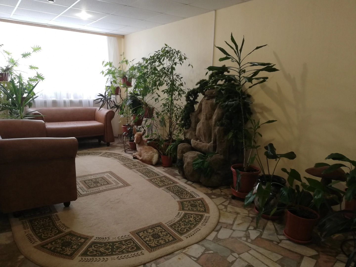 Отель Шерна