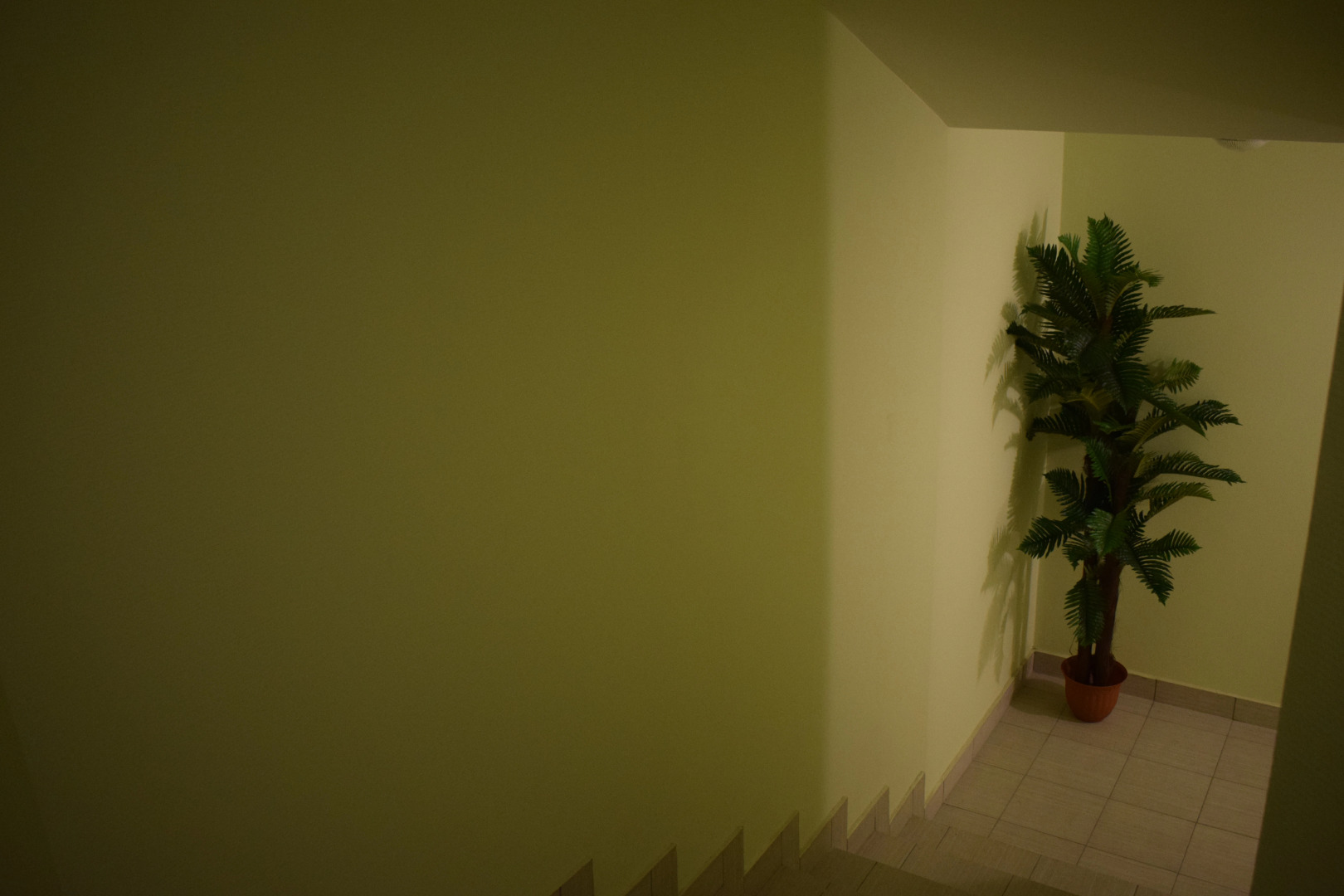 Хостел Амур