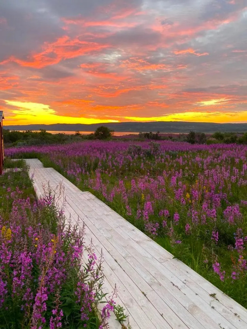 Бунгало Atv51