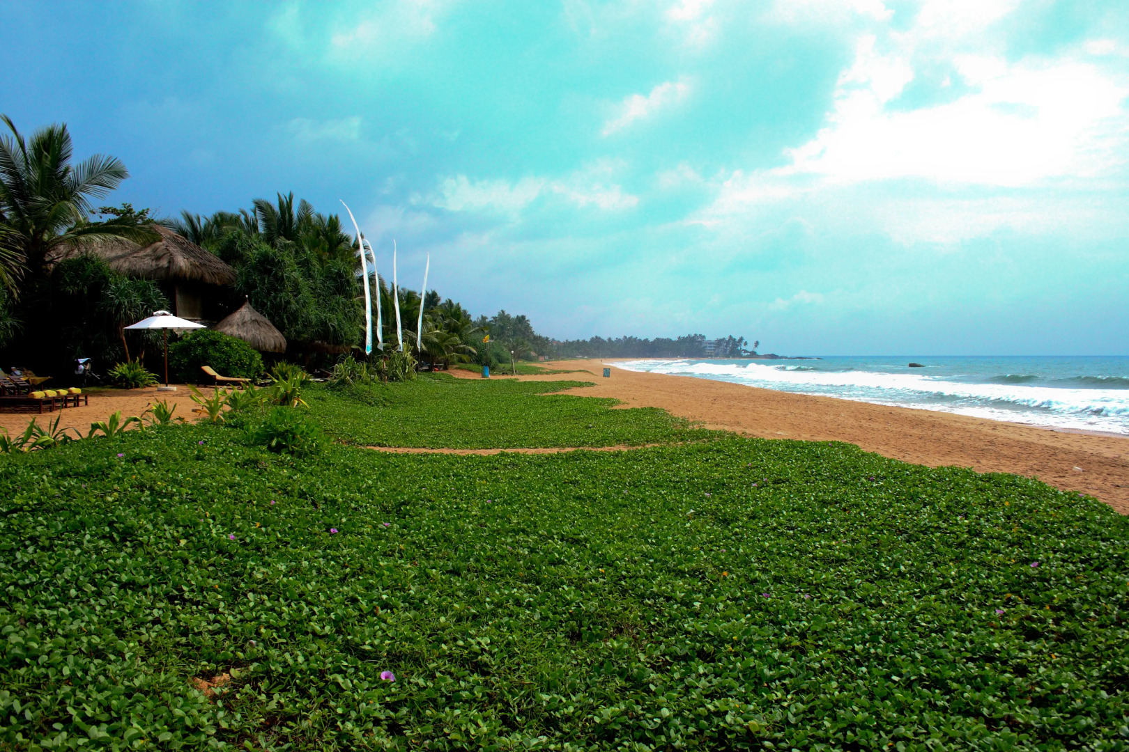 Отель Temple Tree Resort & Spa