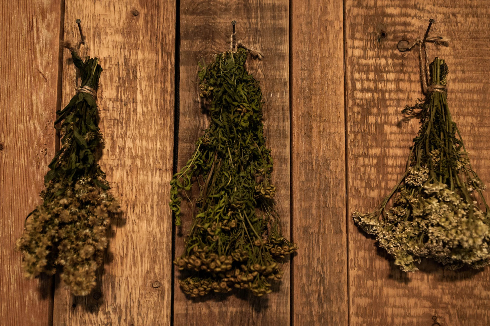 Апартаменты Удивительное Рядом 3