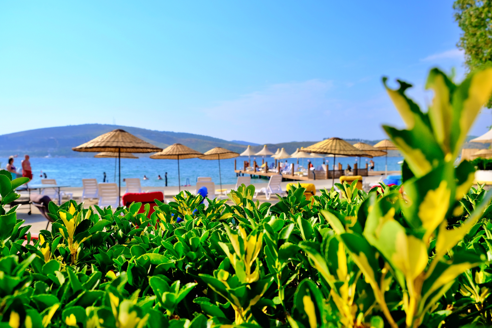 Отель Oscar Seaside Hotel & Spa