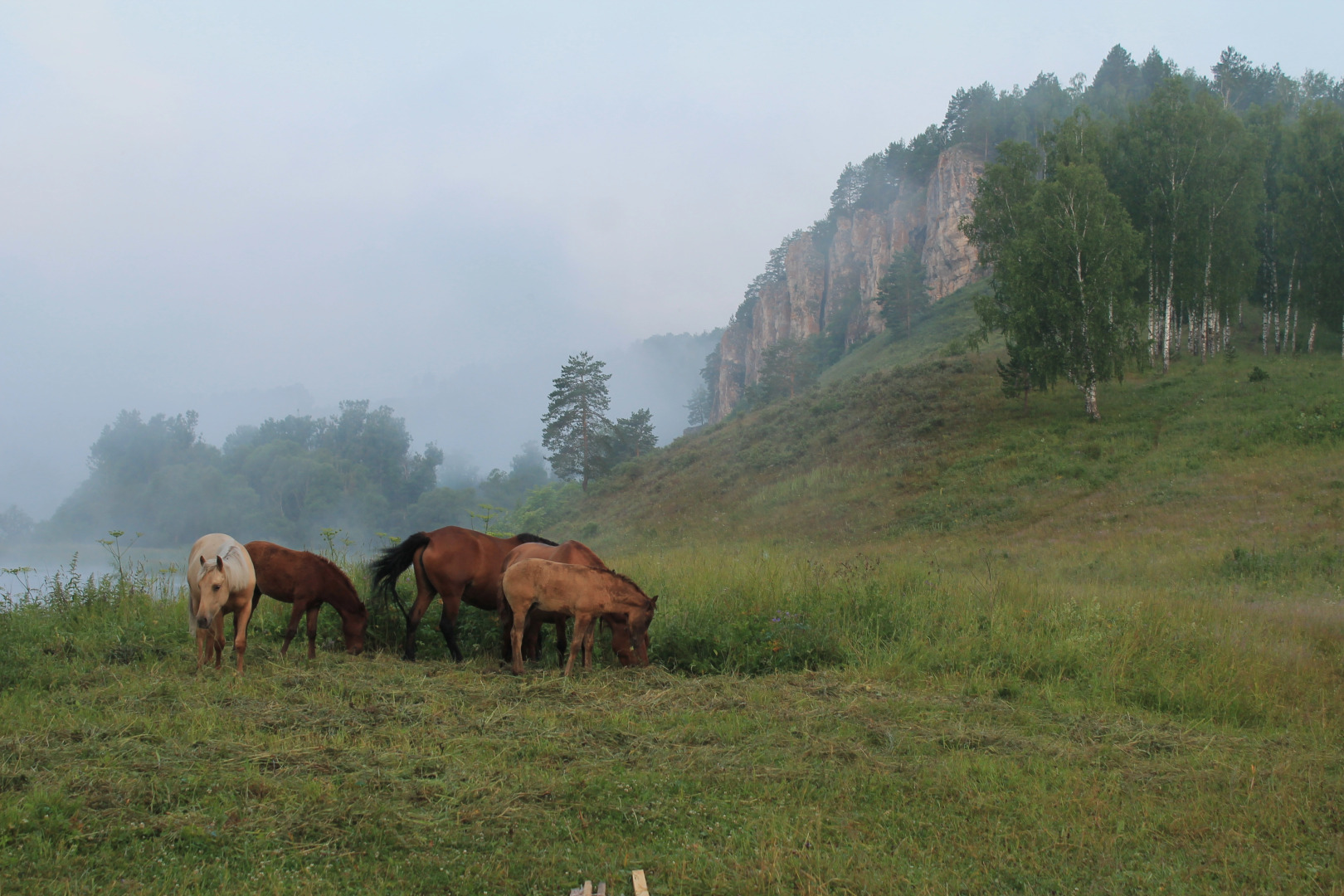 Кемпинг Жеребчик