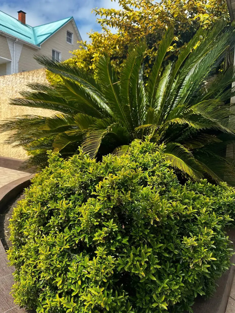 Гостевой дом Сати