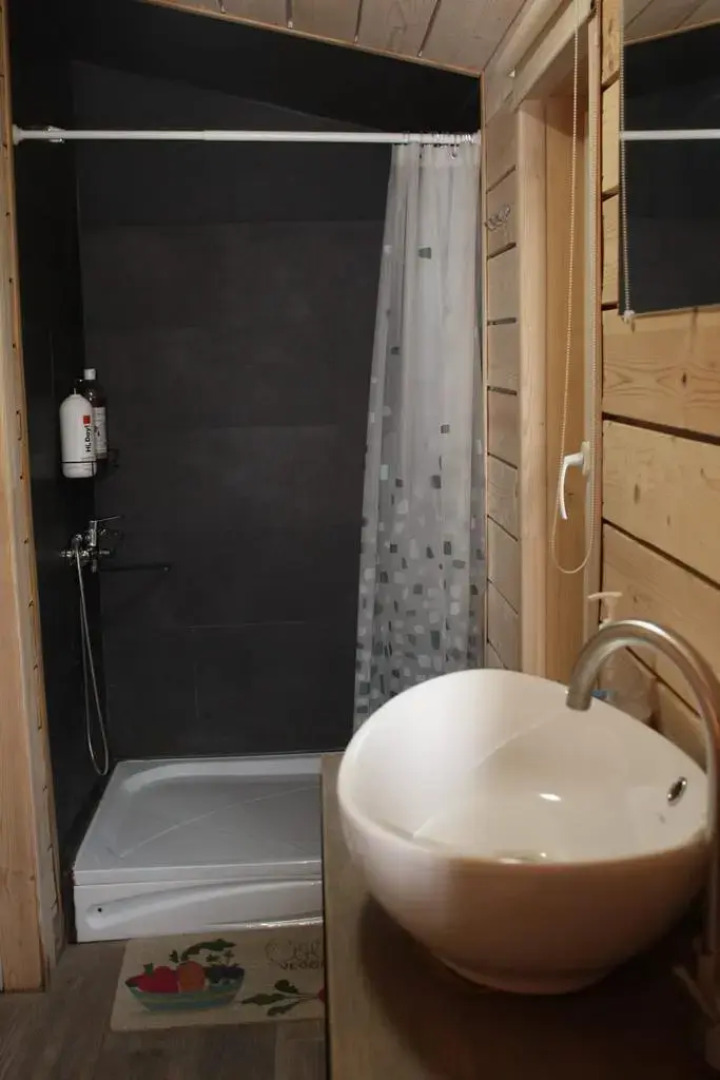 Частный дом в берёзовой роще