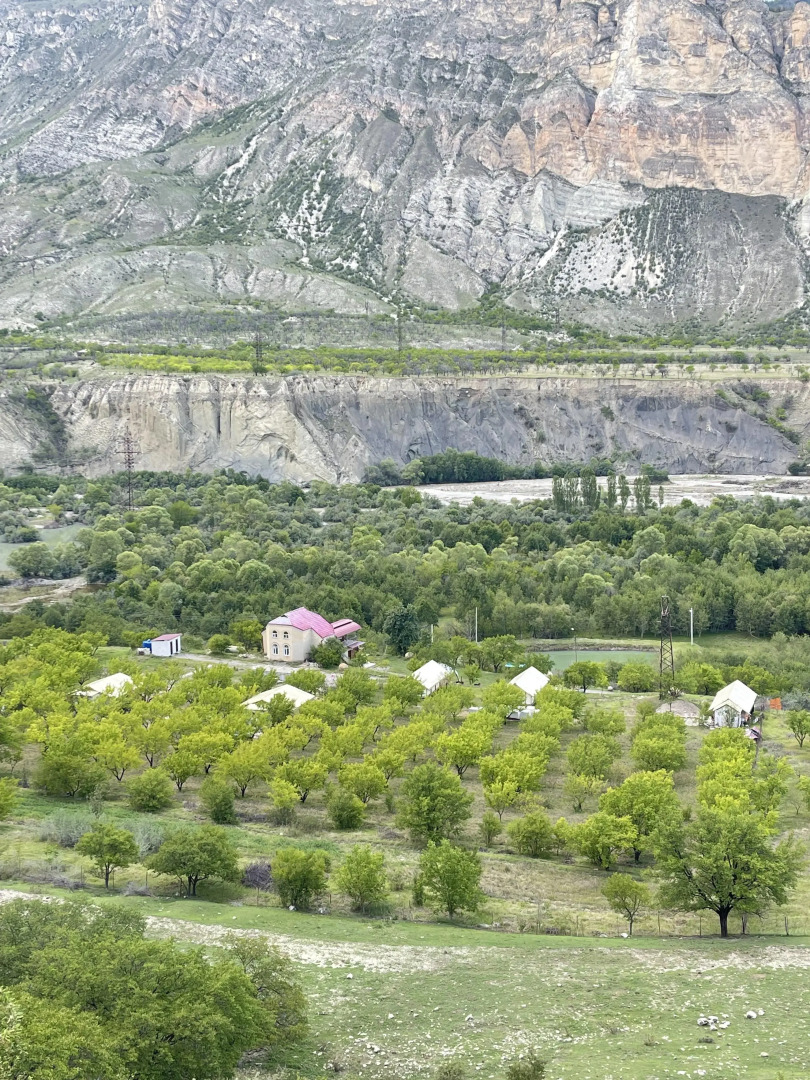Сад Глэмпинг