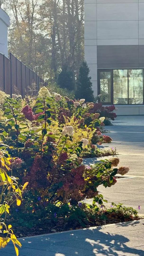 Апартаменты студия у моря 426