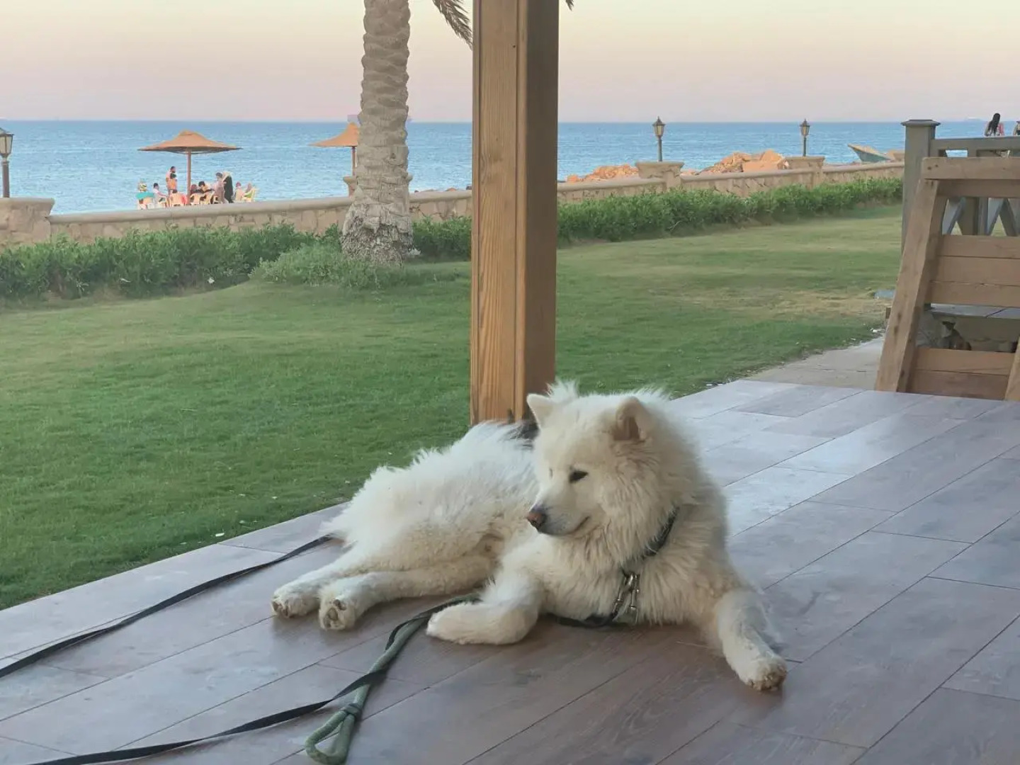 Шале Perfect Villa Sea View