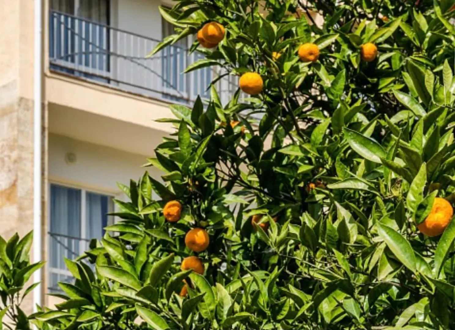 Отель Ривьера