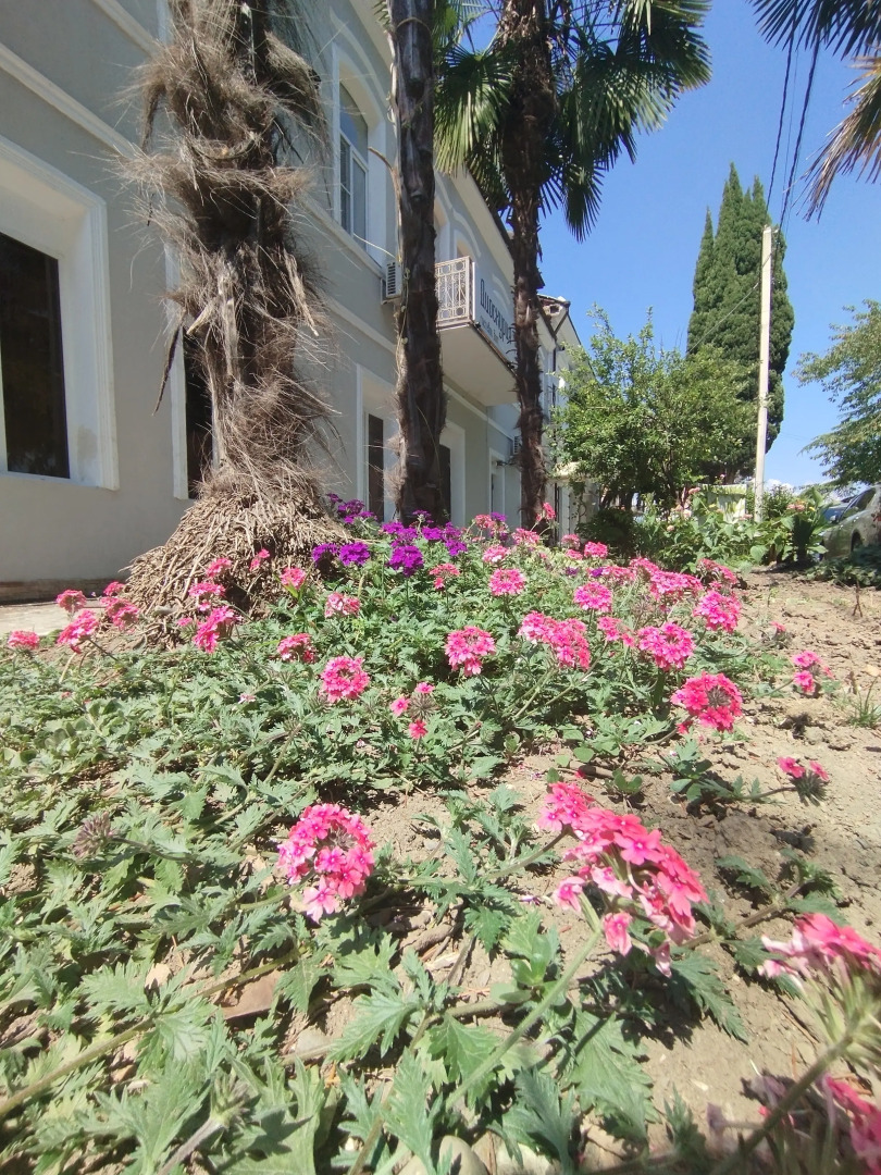 Гостевой Дом Диоскурия