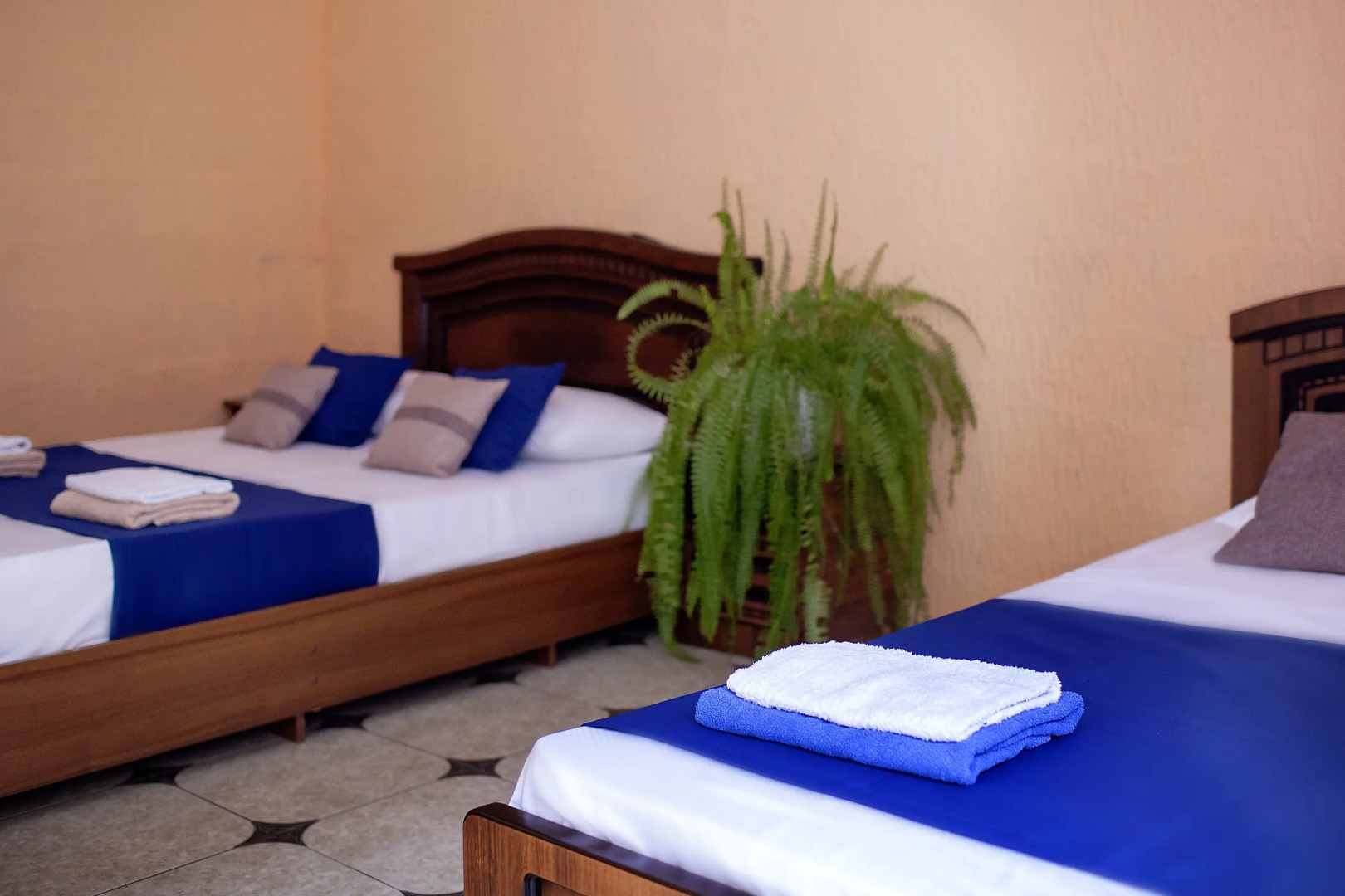 Гостевой Дом Алоиза