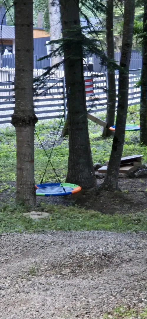 Горная Мята