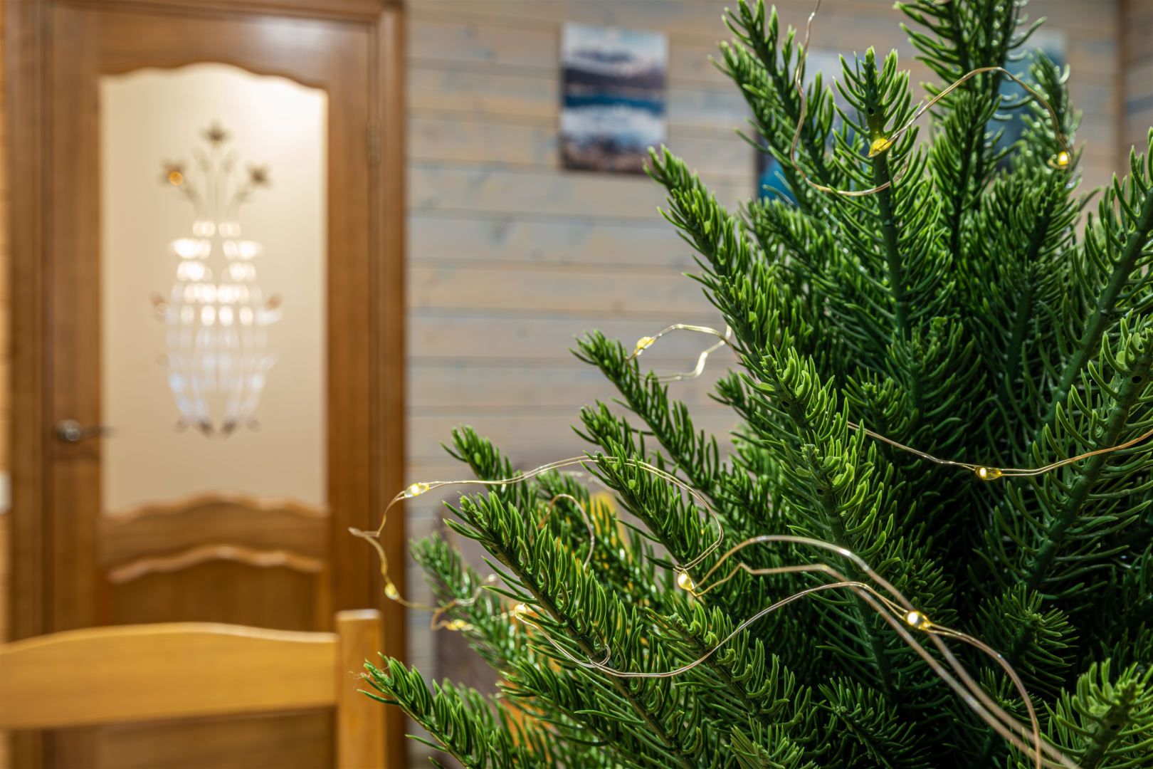 Гостевой дом Шале Аркасара