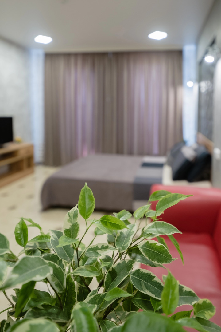 Гостевой Дом 5 Снов