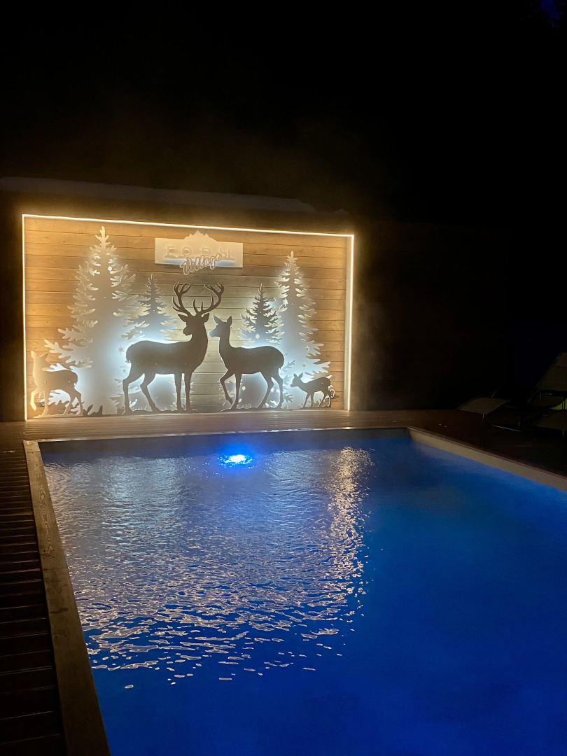 Отель Гoры Village