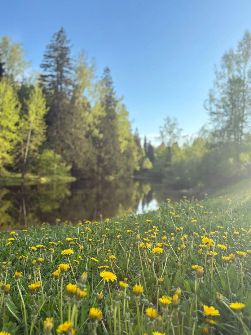 Частный дом Уютный жилой зимний в сказочно живописном месте