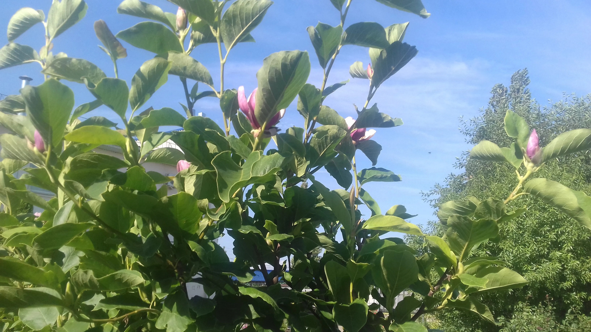 Гостевой дом Космос