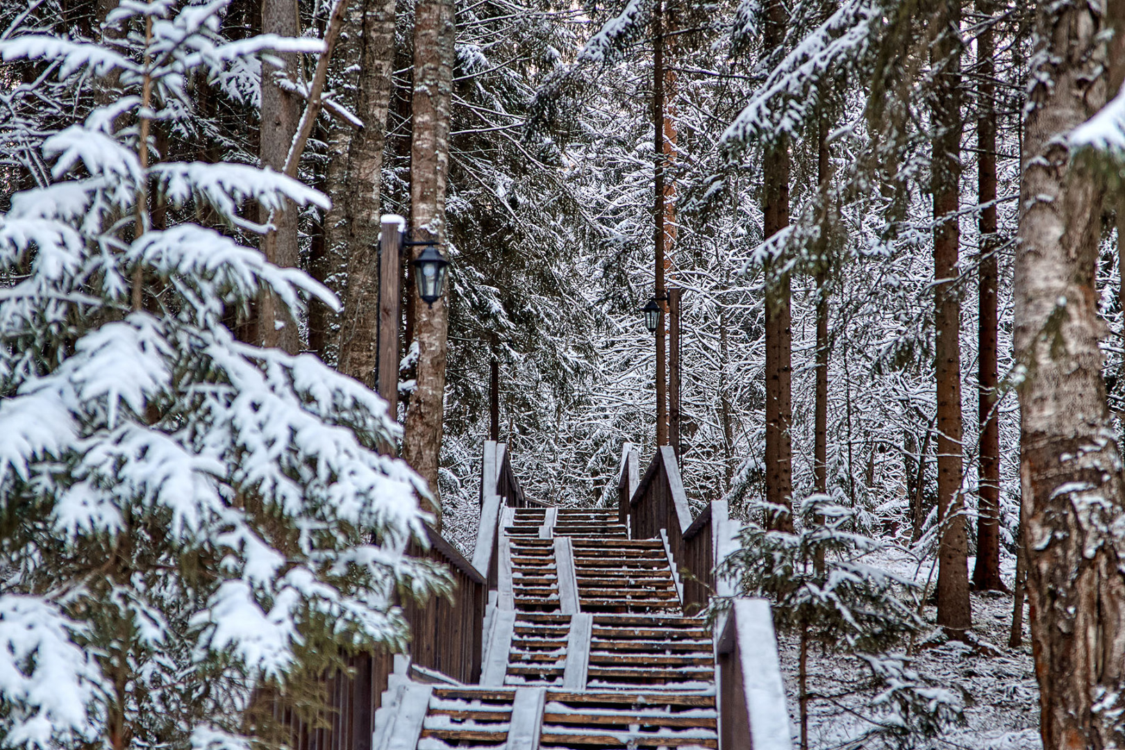 Отель Истра Холидей