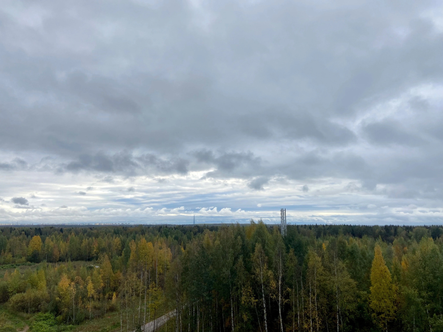 Квартира Студия Зеленая в Песочном