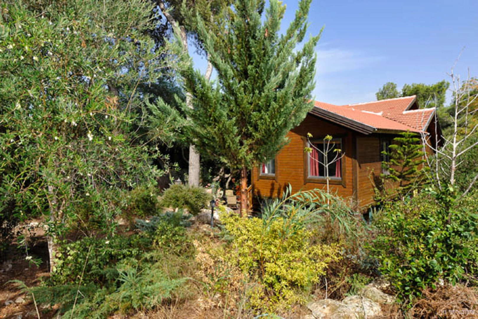 Шале Tree House Chalets